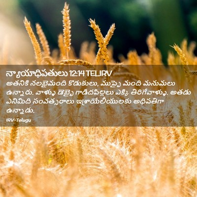 Picture 02 - న్యాయాధిపతులు 12:14 TELIRV - అతనికి నలభైమంది - Bible Verse Picture