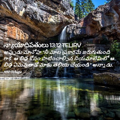 Picture 02 - న్యాయాధిపతులు 13:12 TELIRV - అప్పుడు మానోహ “నీ - Bible Verse Picture