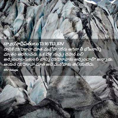 Picture 02 - న్యాయాధిపతులు 13:16 TELIRV - దానికి యెహోవా దూత - Bible Verse Picture