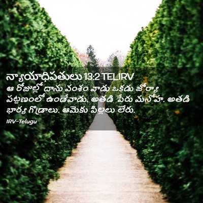 Picture 02 - న్యాయాధిపతులు 13:2 TELIRV - ఆ రోజుల్లో దాను - Bible Verse Picture
