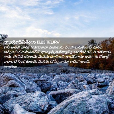 Picture 02 - న్యాయాధిపతులు 13:23 TELIRV - కానీ అతని భార్య - Bible Verse Picture