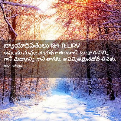 Picture 02 - న్యాయాధిపతులు 13:4 TELIRV - ఇప్పుడు నువ్వు - Bible Verse Picture