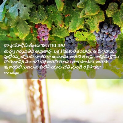 Picture 02 - న్యాయాధిపతులు 13:5 TELIRV - నువ్వు గర్భవతివి - Bible Verse Picture
