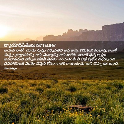 Picture 02 - న్యాయాధిపతులు 13:7 TELIRV - ఆయన నాతో, ‘చూడు - Bible Verse Picture