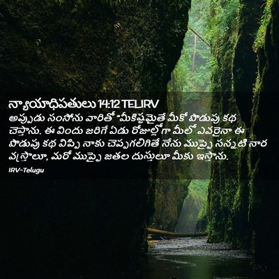 Picture 02 - న్యాయాధిపతులు 14:12 TELIRV - అప్పుడు సంసోను - Bible Verse Picture