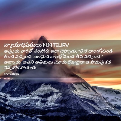 Picture 02 - న్యాయాధిపతులు 14:14 TELIRV - అప్పుడు వారితో - Bible Verse Picture