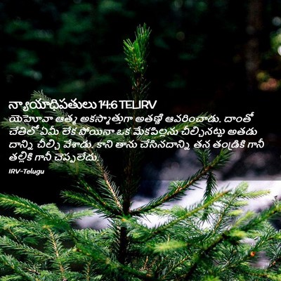 Picture 02 - న్యాయాధిపతులు 14:6 TELIRV - యెహోవా ఆత్మ - Bible Verse Picture