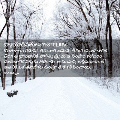 Picture 02 - న్యాయాధిపతులు 14:8 TELIRV - కొంతకాలం గడచిన - Bible Verse Picture