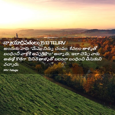 Picture 02 - న్యాయాధిపతులు 15:13 TELIRV - అందుకు వారు “మేము - Bible Verse Picture