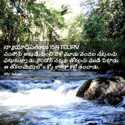 Picture 02 - న్యాయాధిపతులు 15:4 TELIRV - సంసోను అక్కడి - Bible Verse Picture