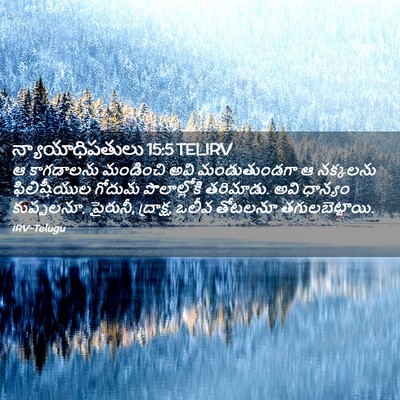 Picture 02 - న్యాయాధిపతులు 15:5 TELIRV - ఆ కాగడాలను - Bible Verse Picture