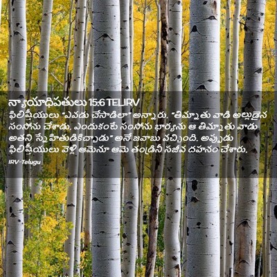 Picture 02 - న్యాయాధిపతులు 15:6 TELIRV - ఫిలిష్తీయులు - Bible Verse Picture
