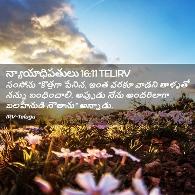 Picture 02 - న్యాయాధిపతులు 16:11 TELIRV - సంసోను “కొత్తగా - Bible Verse Picture