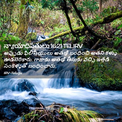 Picture 02 - న్యాయాధిపతులు 16:21 TELIRV - అప్పుడు - Bible Verse Picture