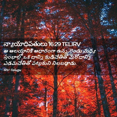 Picture 02 - న్యాయాధిపతులు 16:29 TELIRV - ఆ ఆలయానికి - Bible Verse Picture