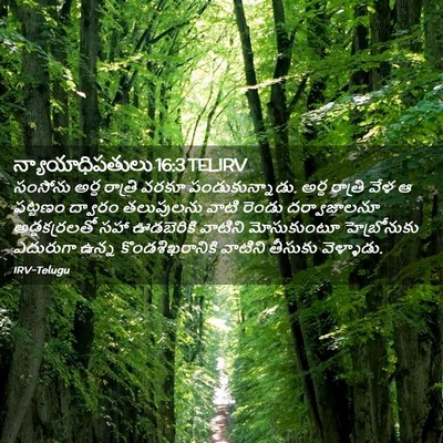 Picture 02 - న్యాయాధిపతులు 16:3 TELIRV - సంసోను అర్థ - Bible Verse Picture