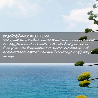 Picture 02 - న్యాయాధిపతులు 16:30 TELIRV - “నేనూ, నాతో కూడా - Bible Verse Picture