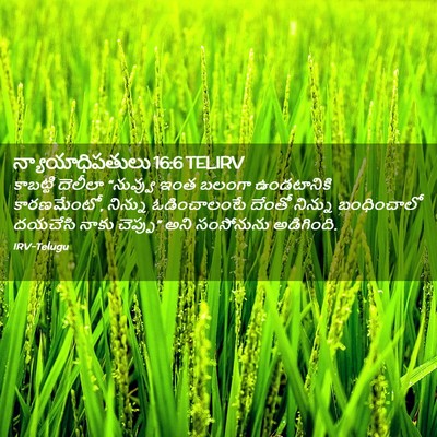 Picture 02 - న్యాయాధిపతులు 16:6 TELIRV - కాబట్టి దెలీలా - Bible Verse Picture