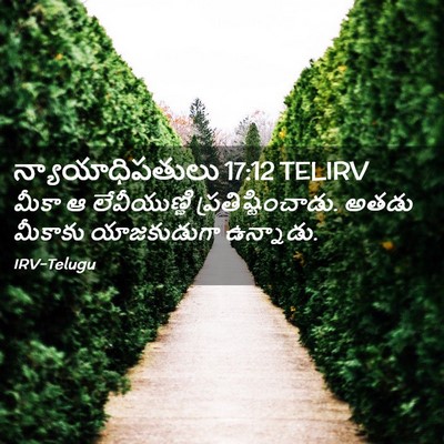 Picture 02 - న్యాయాధిపతులు 17:12 TELIRV - మీకా ఆ లేవీయుణ్ణి - Bible Verse Picture