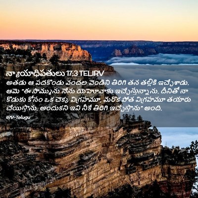 Picture 02 - న్యాయాధిపతులు 17:3 TELIRV - అతడు ఆ పదకొండు - Bible Verse Picture