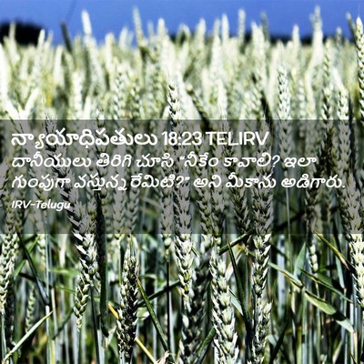 Picture 02 - న్యాయాధిపతులు 18:23 TELIRV - దానీయులు తిరిగి - Bible Verse Picture
