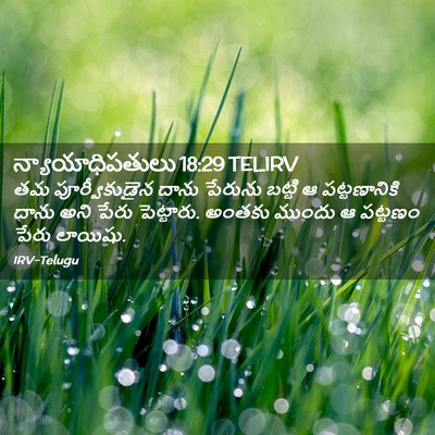 Picture 02 - న్యాయాధిపతులు 18:29 TELIRV - తమ పూర్వీకుడైన - Bible Verse Picture