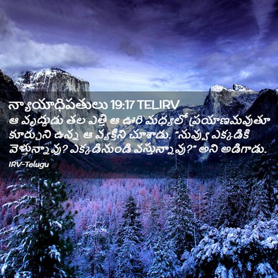 Picture 02 - న్యాయాధిపతులు 19:17 TELIRV - ఆ వృద్ధుడు తల - Bible Verse Picture