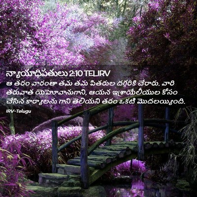 Picture 02 - న్యాయాధిపతులు 2:10 TELIRV - ఆ తరం వారంతా తమ తమ - Bible Verse Picture