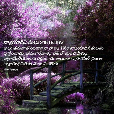 Picture 02 - న్యాయాధిపతులు 2:16 TELIRV - అటు తరువాత యెహోవా - Bible Verse Picture