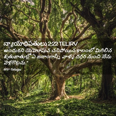 Picture 02 - న్యాయాధిపతులు 2:22 TELIRV - అందుకని యెహోషువ - Bible Verse Picture
