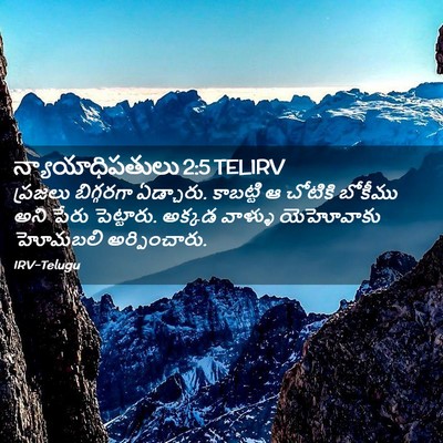Picture 02 - న్యాయాధిపతులు 2:5 TELIRV - ప్రజలు బిగ్గరగా - Bible Verse Picture
