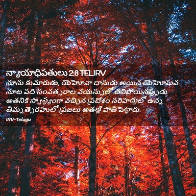 Picture 02 - న్యాయాధిపతులు 2:8 TELIRV - నూను కుమారుడు, - Bible Verse Picture