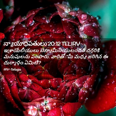 Picture 02 - న్యాయాధిపతులు 20:12 TELIRV - ఇశ్రాయేలీయులు - Bible Verse Picture
