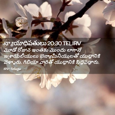 Picture 02 - న్యాయాధిపతులు 20:30 TELIRV - మూడో రోజున ఇంతకు - Bible Verse Picture