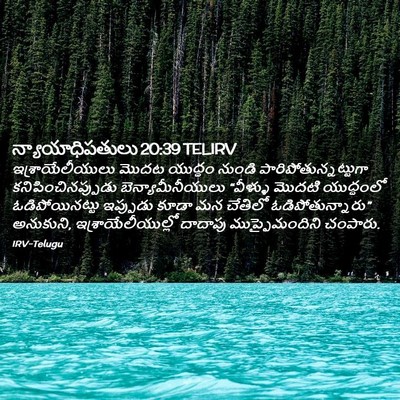 Picture 02 - న్యాయాధిపతులు 20:39 TELIRV - ఇశ్రాయేలీయులు - Bible Verse Picture