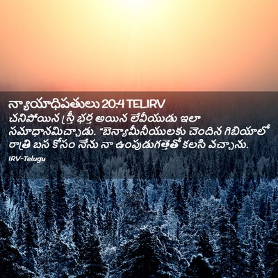 Picture 02 - న్యాయాధిపతులు 20:4 TELIRV - చనిపోయిన స్త్రీ - Bible Verse Picture