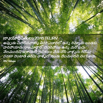 Picture 02 - న్యాయాధిపతులు 20:45 TELIRV - అప్పుడు - Bible Verse Picture