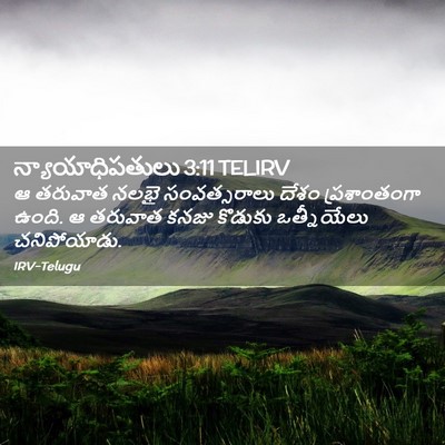Picture 02 - న్యాయాధిపతులు 3:11 TELIRV - ఆ తరువాత నలభై - Bible Verse Picture