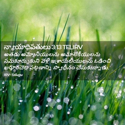 Picture 02 - న్యాయాధిపతులు 3:13 TELIRV - అతడు అమ్మోనీయులను - Bible Verse Picture