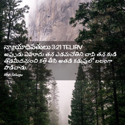 Picture 02 - న్యాయాధిపతులు 3:21 TELIRV - అప్పుడు ఏహూదు తన - Bible Verse Picture