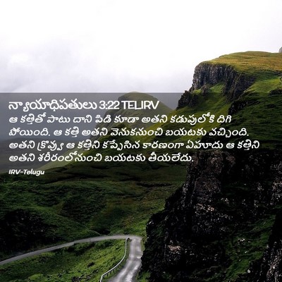 Picture 02 - న్యాయాధిపతులు 3:22 TELIRV - ఆ కత్తితో పాటు - Bible Verse Picture