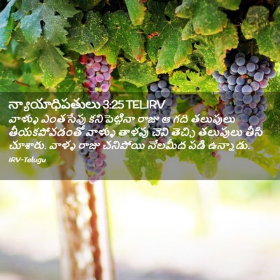 Picture 02 - న్యాయాధిపతులు 3:25 TELIRV - వాళ్ళు ఎంతసేపు - Bible Verse Picture