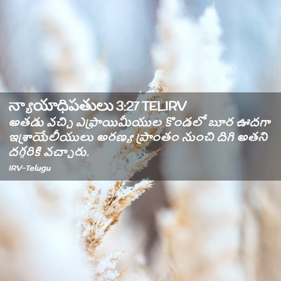 Picture 02 - న్యాయాధిపతులు 3:27 TELIRV - అతడు వచ్చి - Bible Verse Picture
