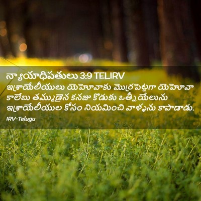 Picture 02 - న్యాయాధిపతులు 3:9 TELIRV - ఇశ్రాయేలీయులు - Bible Verse Picture