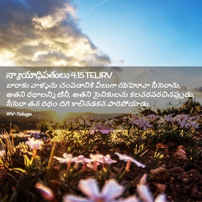 Picture 02 - న్యాయాధిపతులు 4:15 TELIRV - బారాకు వాళ్ళను - Bible Verse Picture