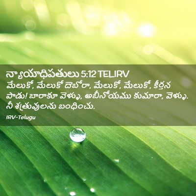 Picture 02 - న్యాయాధిపతులు 5:12 TELIRV - మేలుకో, మేలుకో - Bible Verse Picture