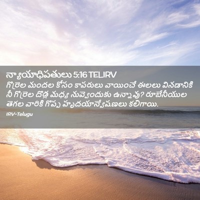 Picture 02 - న్యాయాధిపతులు 5:16 TELIRV - గొర్రెల మందల కోసం - Bible Verse Picture