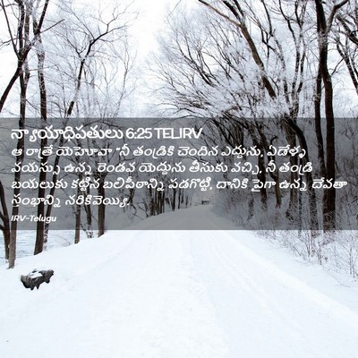 Picture 02 - న్యాయాధిపతులు 6:25 TELIRV - ఆ రాత్రే యెహోవా - Bible Verse Picture