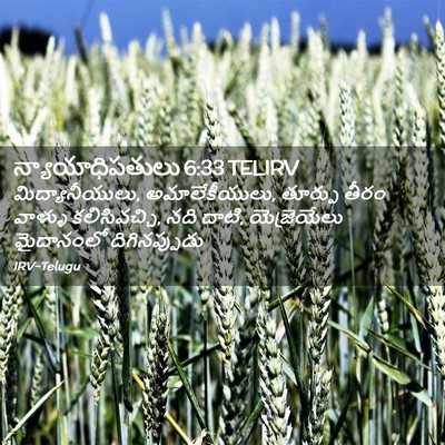 Picture 02 - న్యాయాధిపతులు 6:33 TELIRV - మిద్యానీయులు, - Bible Verse Picture
