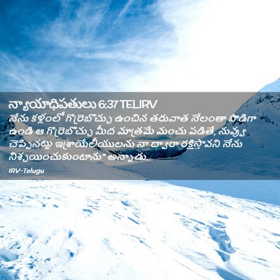 Picture 02 - న్యాయాధిపతులు 6:37 TELIRV - నేను కళ్లంలో - Bible Verse Picture